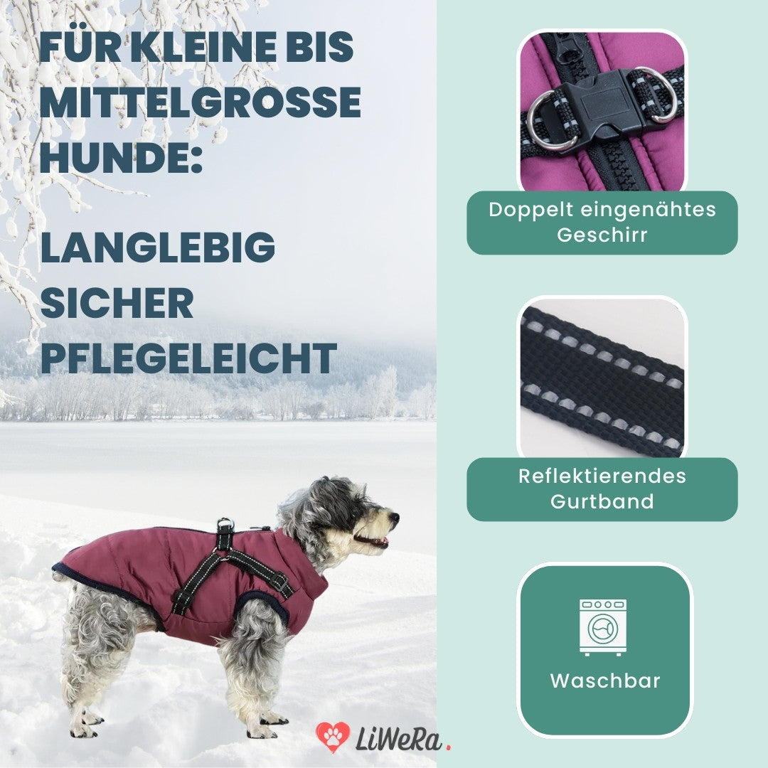 LiWeRa Wasserdichte Hundejacke DELUXE