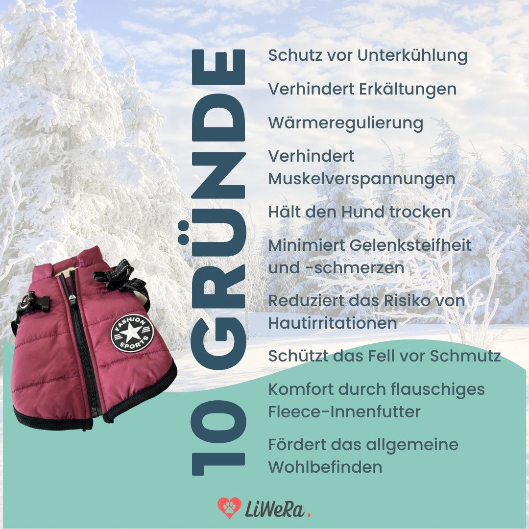 LiWeRa Wasserdichte Hundejacke DELUXE