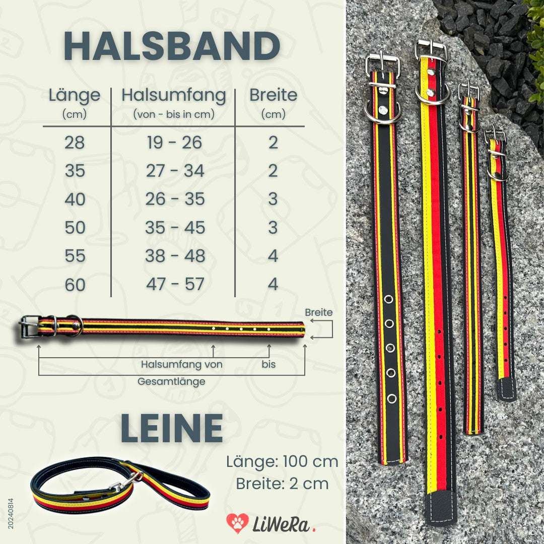 Leder Hundeleine + Halsband schwarz-rot-gold