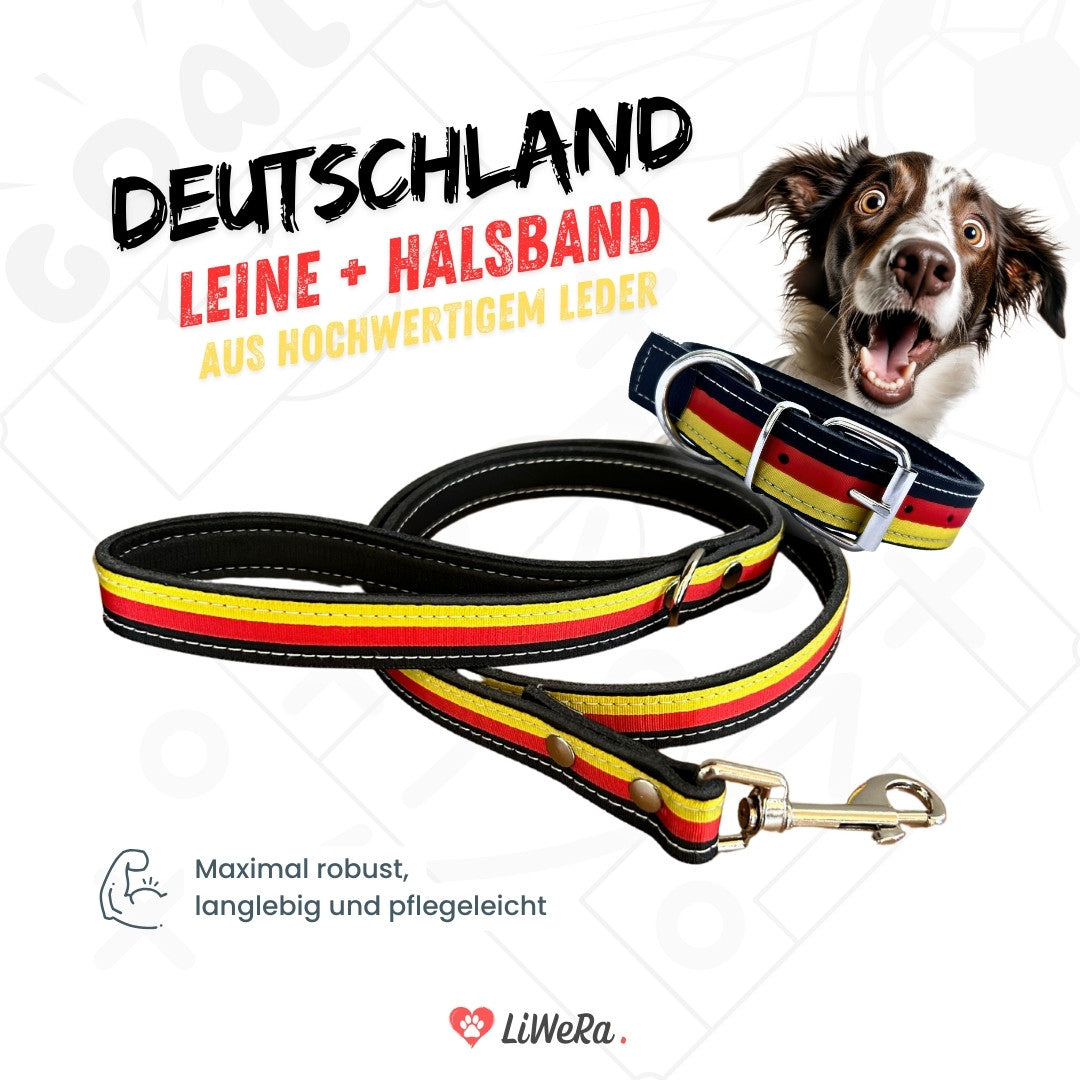 Leder Hundeleine + Halsband schwarz-rot-gold