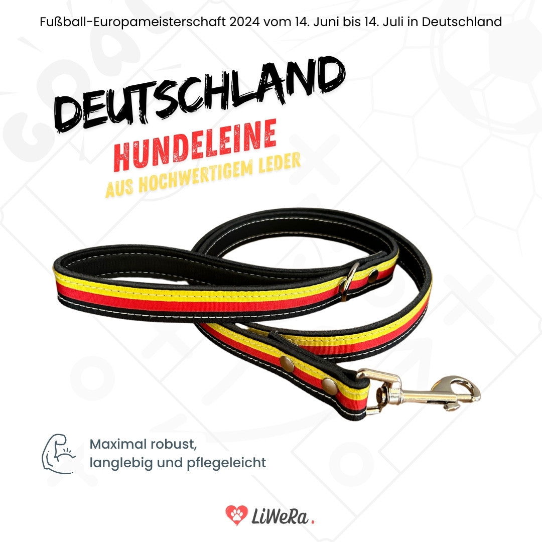 Leder Hundeleine schwarz-rot-gold