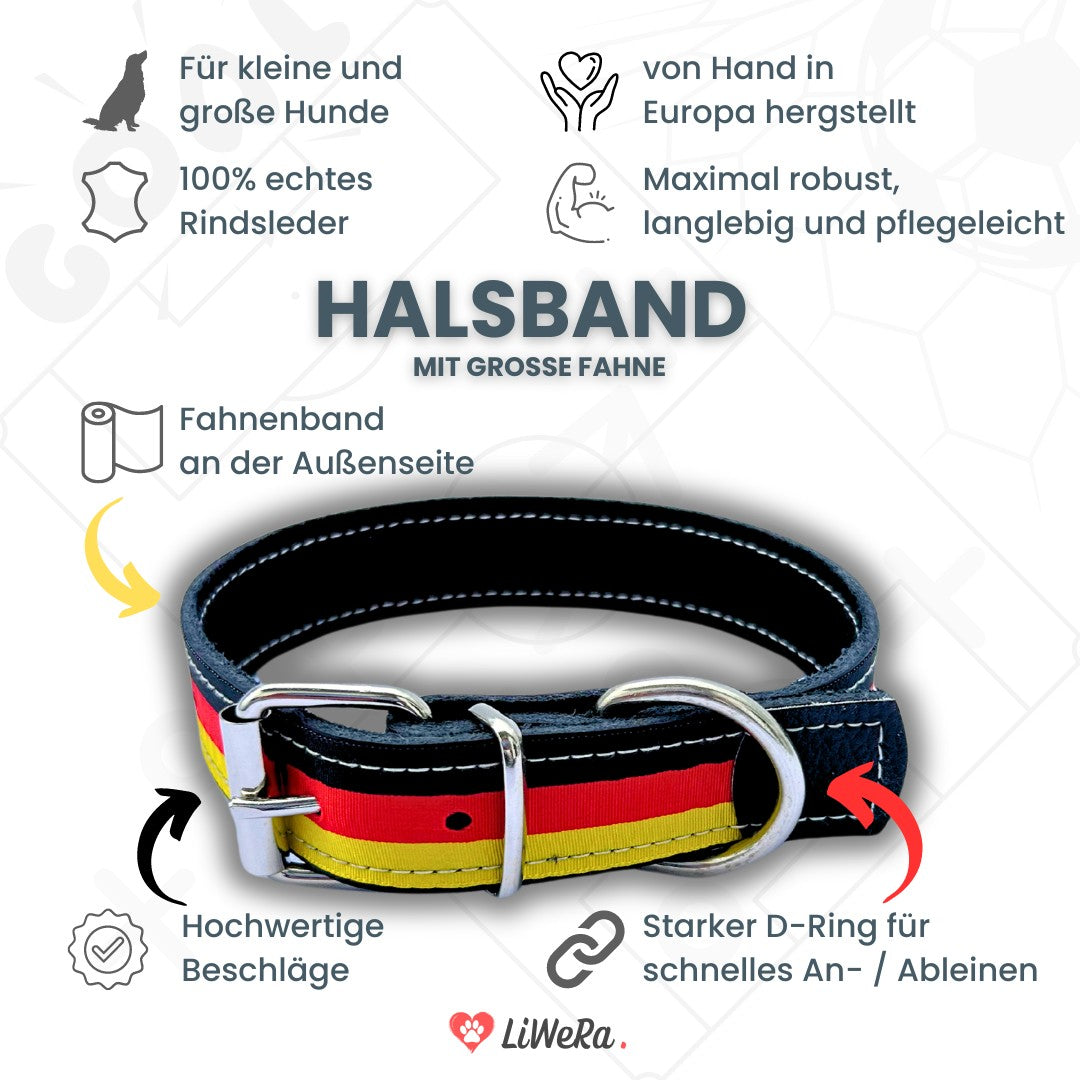 Leder Hundeleine + Halsband schwarz-rot-gold